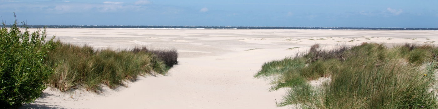 Ein Blick auf die Dünen